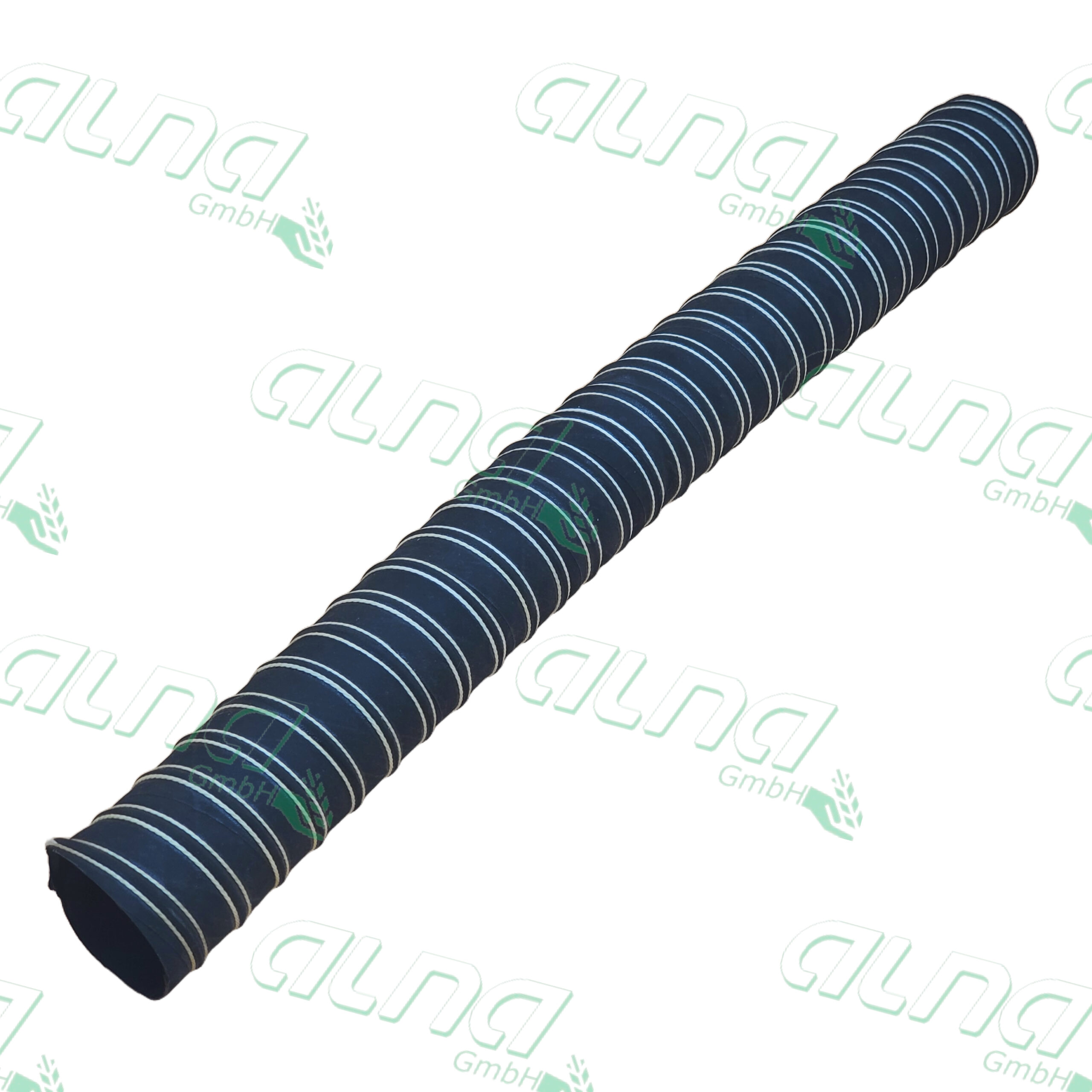 h171000.jpg