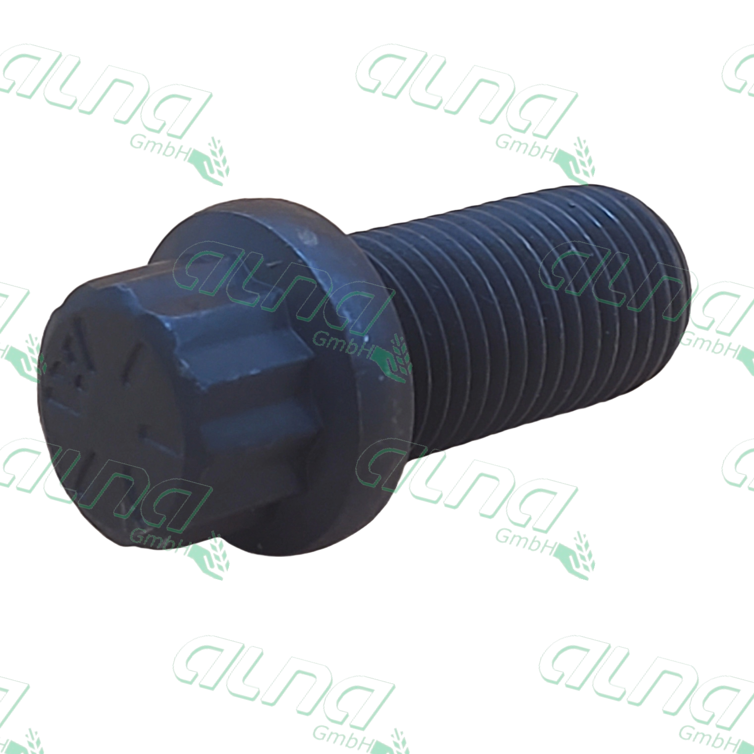 r85169.jpg