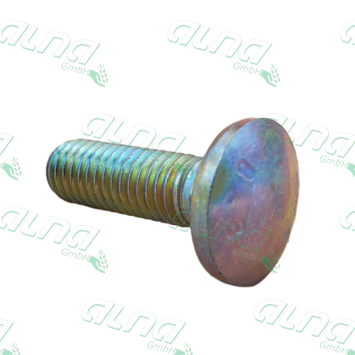 03M7185.jpg