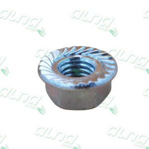 h135891.jpg