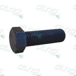 r131667.jpg